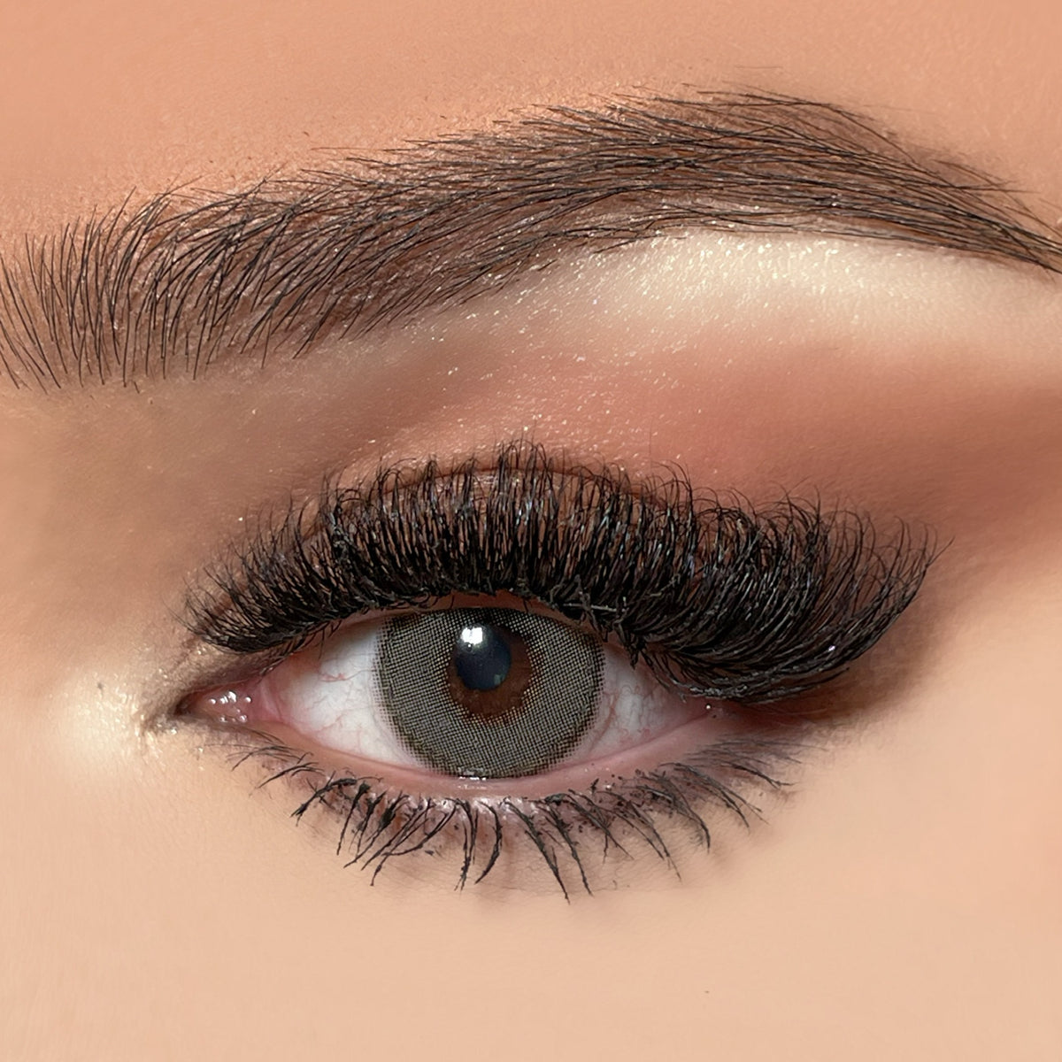 RAVEN COSMETIC CONTACT LENSES