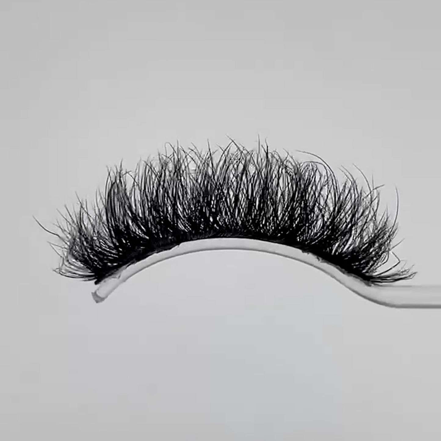 Savage Faux Faves Lash Collection