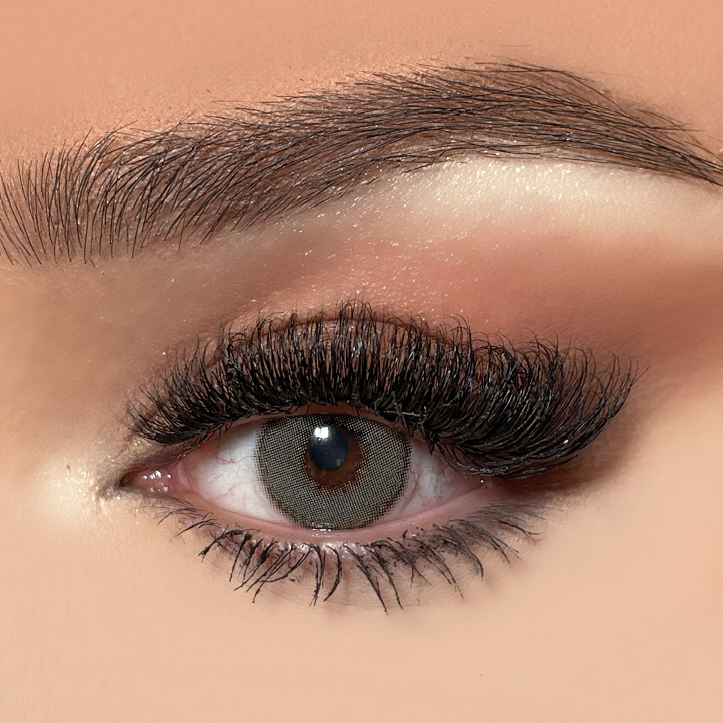 RAVEN COSMETIC CONTACT LENSES